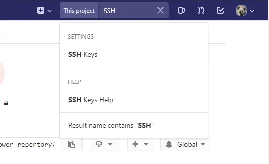 查找SSH key设置项.png