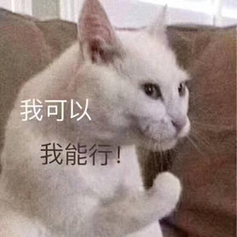 jb于2018-07-05 11:54发布的图片
