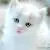 xiaoaiwhc1 