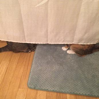 一颗桃子于2018-07-05 23:28发布的图片