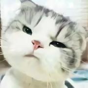 油腻死肥宅的个人资料头像