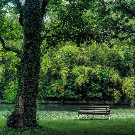 阮一峰推特更新于2018-07-06 14:39发布的图片