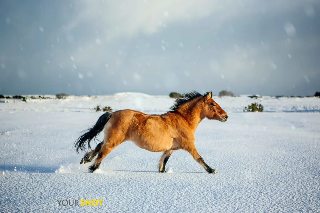 图片来自http://www.ngchina.com.cn/