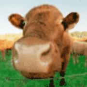 ForJForH的个人资料头像