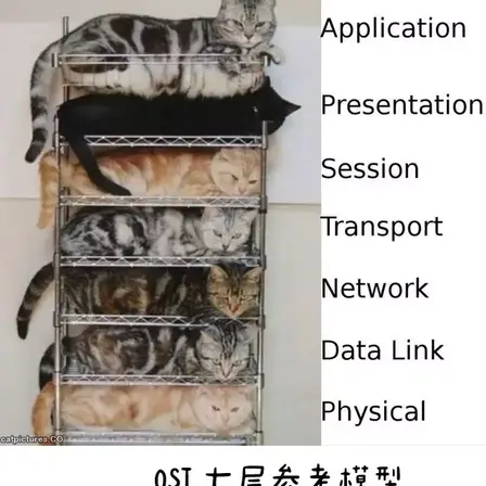 清蒸不是水煮于2018-08-01 07:44发布的图片