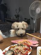 moxiaobai的个人资料头像