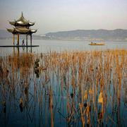 NeilZhou的个人资料头像