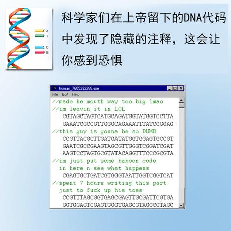 程序员趣事于2018-08-01 16:20发布的图片