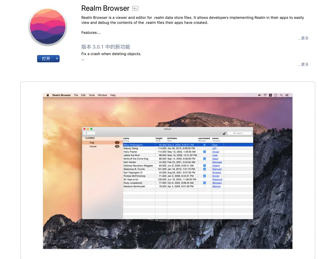 Realm Browser