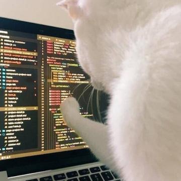 GeekLife34010于2018-08-12 11:32发布的图片