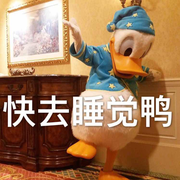 groovy的个人资料头像