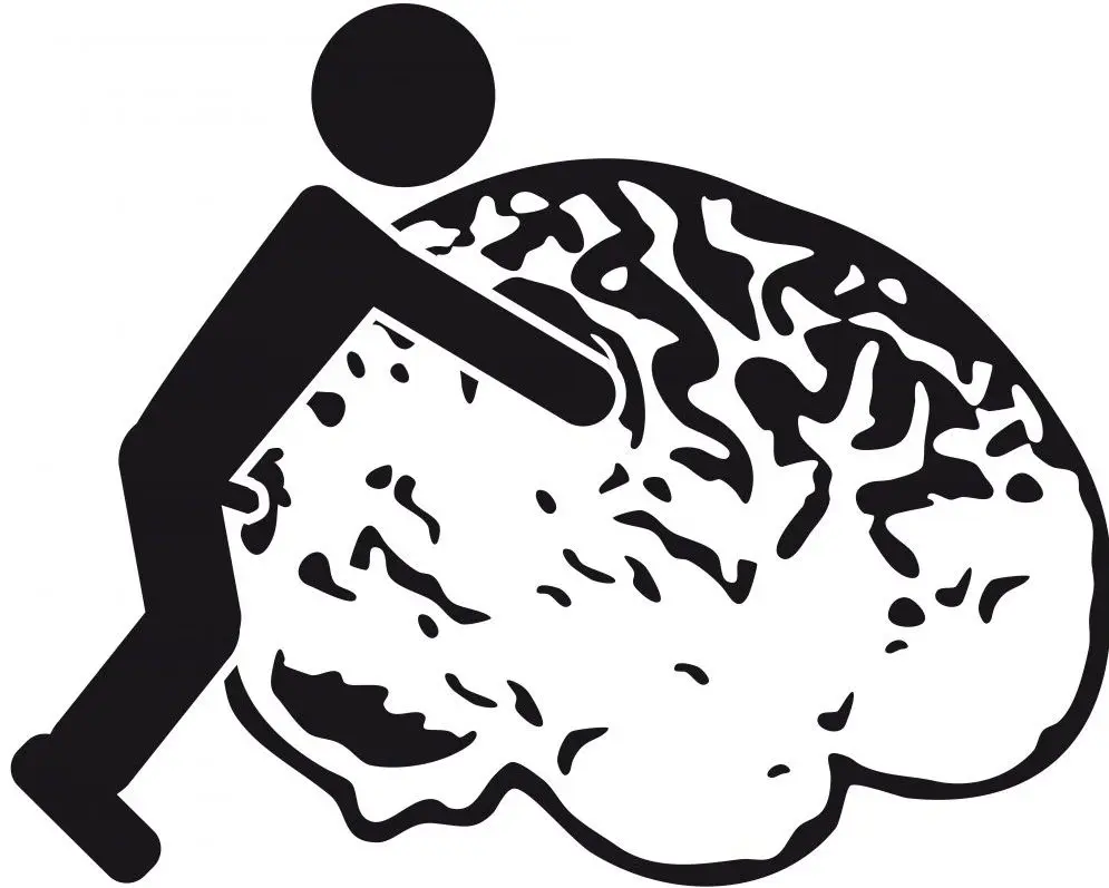 图片来源：google 搜索