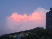 love流动的水的个人资料头像