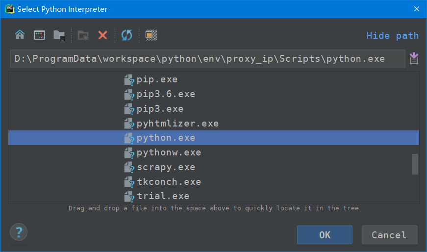 选择 proxy_ip 虚拟环境的 python.exe
