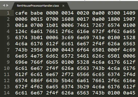 十六进制的Class文件