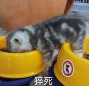 unknownnnnn的个人资料头像