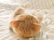 储秋呀的个人资料头像