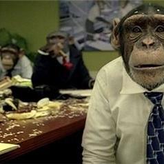 胡七筒于2018-08-14 13:01发布的图片