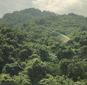 670012173的个人资料头像