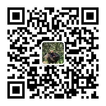 老錢于2018-08-16 12:39发布的图片