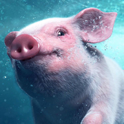 小猪吃饱饱的个人资料头像