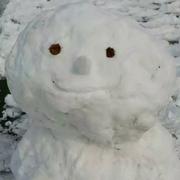 贤者TM的个人资料头像