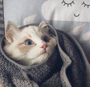 晴Fine的个人资料头像