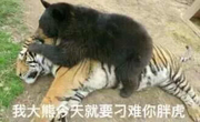 往后的余生的个人资料头像