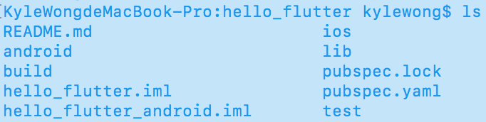 Flutter File Structure Flutter File Structure