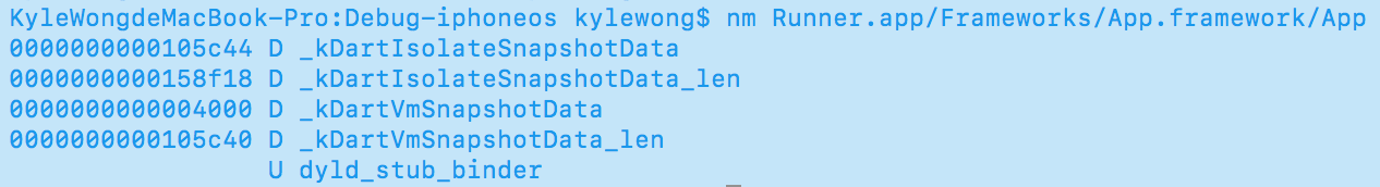 App in debug symbols App in debug symbols