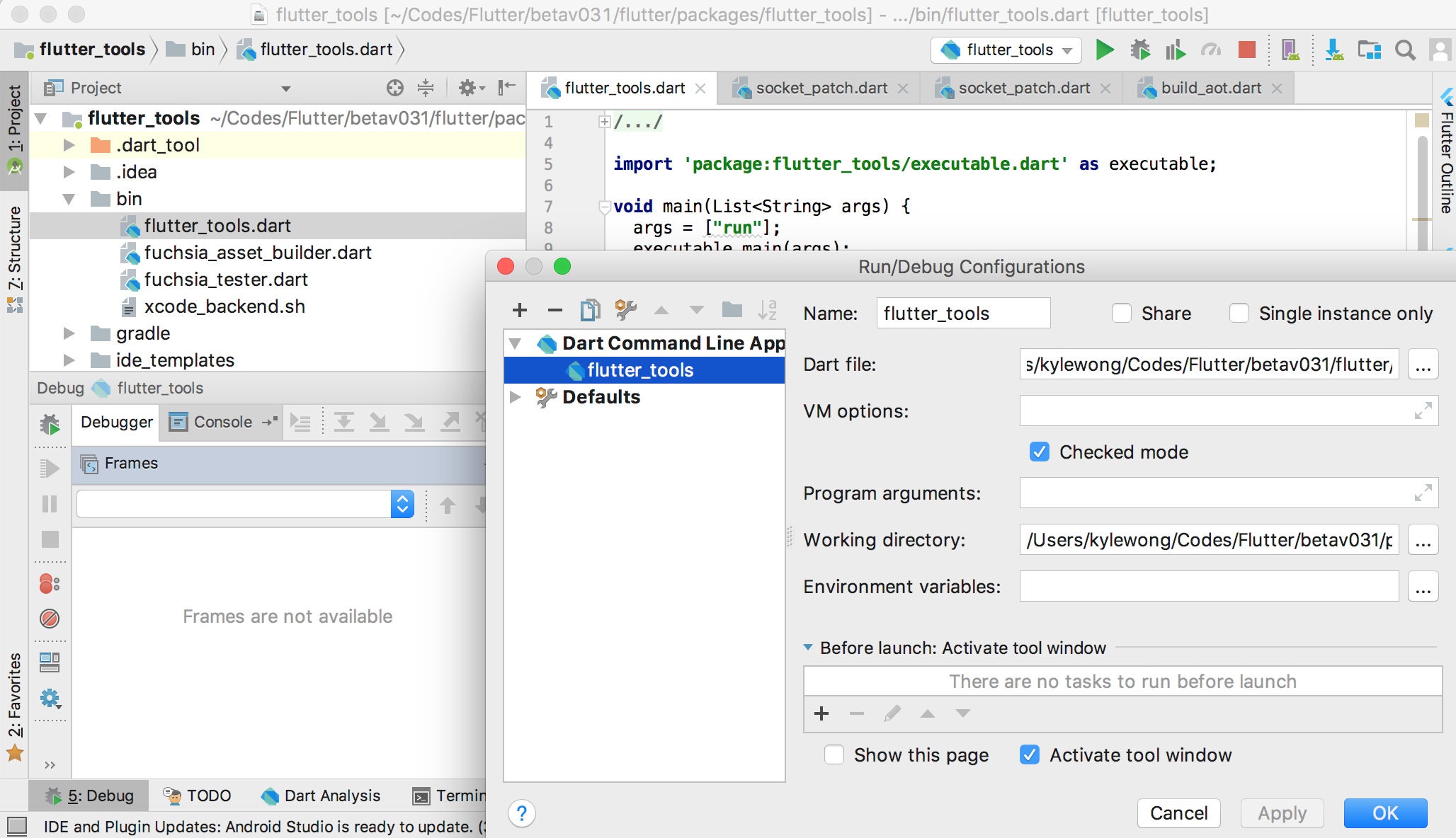 edit flutter_tools dart and debug it with given args edit flutter_tools dart and debug it with given args