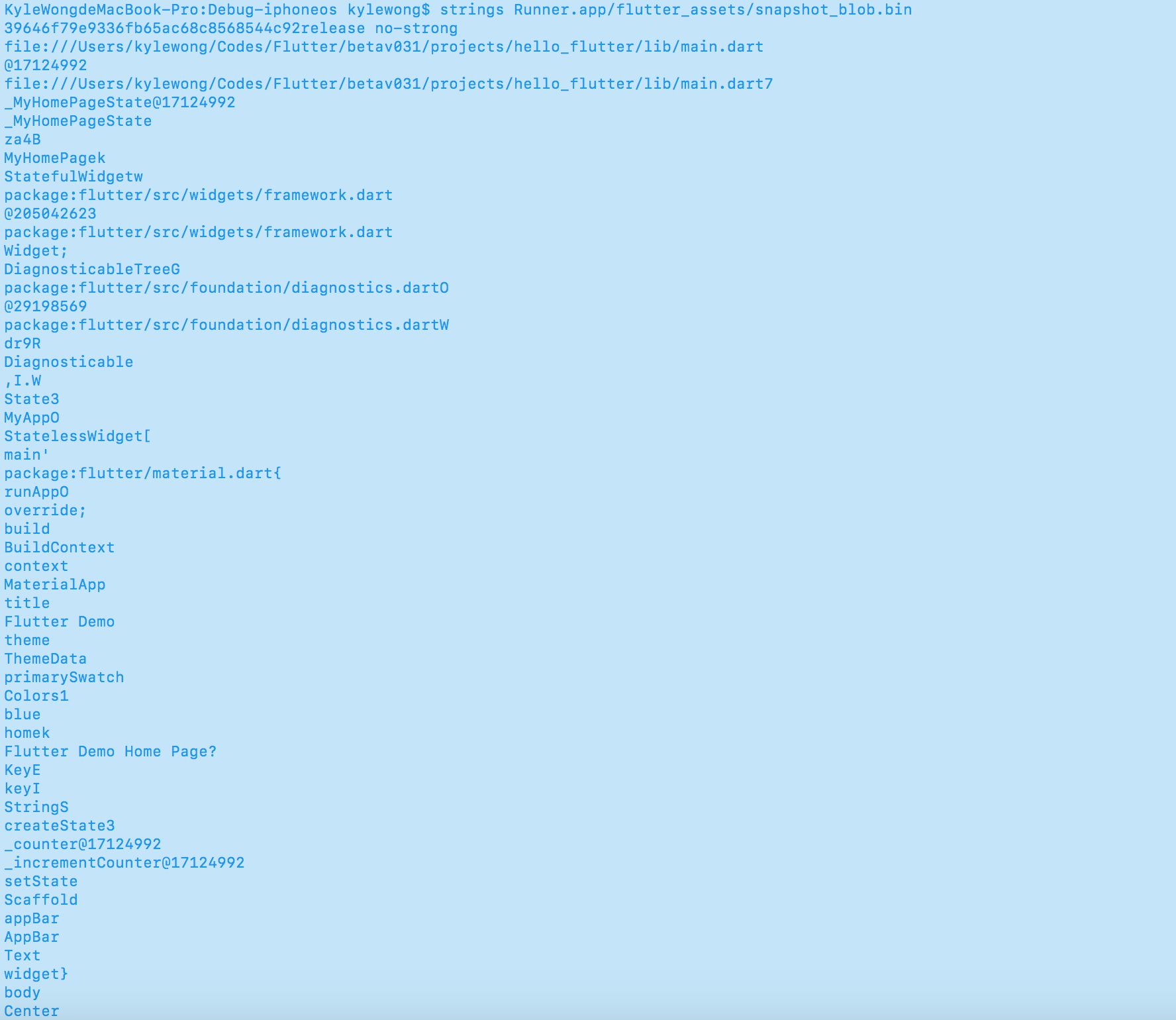 snapshot bin strings snapshot bin strings