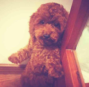 田Sir的个人资料头像