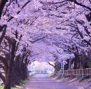 陈建坤的个人资料头像