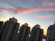 adam_yi的个人资料头像