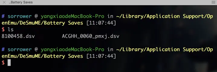 nds游戏自带存档目录