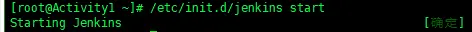 JenKins启动1