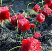 远航1492613759457的个人资料头像