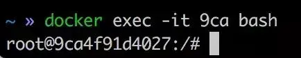 Docker是否比虚拟机更适合我们？