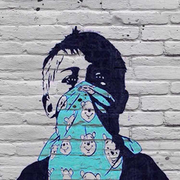 Z的个人资料头像