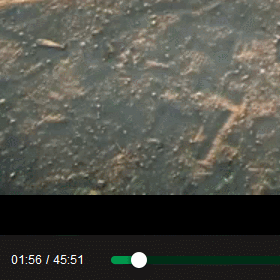 皮皮茶于2018-08-26 10:35发布的图片