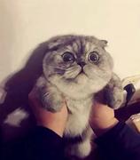 阿杰丶的个人资料头像