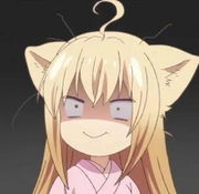 金蝶魄的个人资料头像