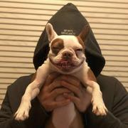 码农小陈的个人资料头像