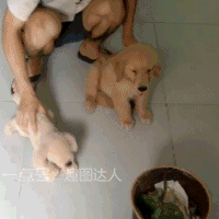 CRPER于2018-08-27 15:37发布的图片
