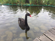 张鹏1486265135605的个人资料头像