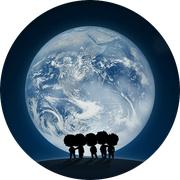 alianlee的个人资料头像