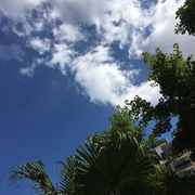 18502859679的个人资料头像