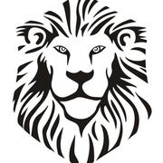 marx54766的个人资料头像