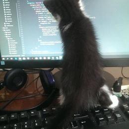 大怪腿长一米八于2018-08-03 16:23发布的图片